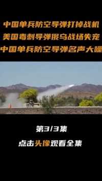 中国单兵防空导弹海外战场创下惊人战绩，打掉千万美元超音速战机#防空导弹#大国重器#军事科技 (3)