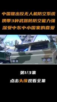 中国推出“反无人机防空系统”，搭载多种武器，堪称无人机克星#无人机#防空系统#大国重器#军事科技 (1)
