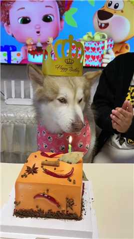 狗：这生日不过也罢