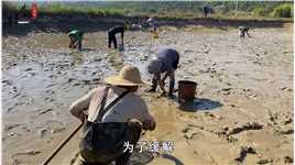 禁渔5年鱼满为患，草海被鱼啃成了秃海，长江会重蹈覆辙吗 (2)