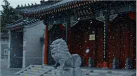 一朝长安雪，一眼入千年，雪落长安里，如故念周生，2024年西安的第一场雪如期而至，瞬间穿越回长安城，你的城市下雪了吗......#旅行在路上