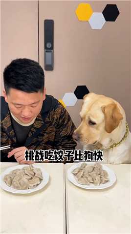 家狗跟男主比赛吃水饺