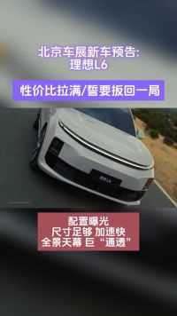 北京车展新车预告：理想L6  性价比拉满/誓要扳回一局