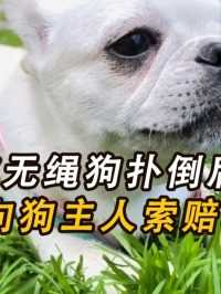 老人被无绳狗扑倒后猝死，家属向狗主人索赔84万，狗主人：拒赔！无攻击行为#社会百态#真实事件 (2)