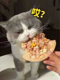 猫：这个披萨比我脸还大！上面还有我爱吃的4种肉肉，增肥又发腮，而且还有3种蔬菜，补充我需要的维生素和膳食纤维#宠物冻干