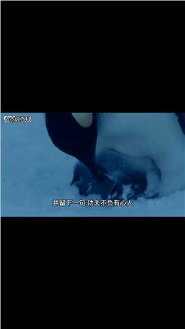 小企鹅一路跌跌撞撞，在寒冷的暴风雪中找妈妈，太可怜了！