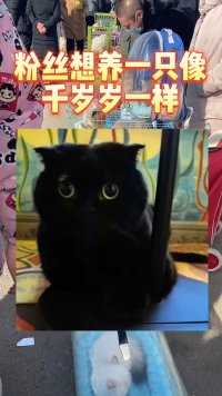 大姨问为什么好多人都喜欢黑猫#黑猫 #千岁岁 #黑色英短 #猫 #宠物市场