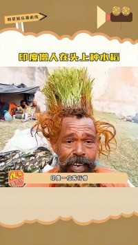 印度僧人在头上种水稻，还一连坚持了几十年，头皮和水稻根都缠在一起了！！