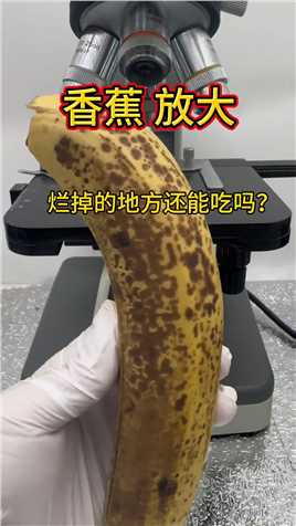 香蕉放大香蕉显微镜下的世界水果