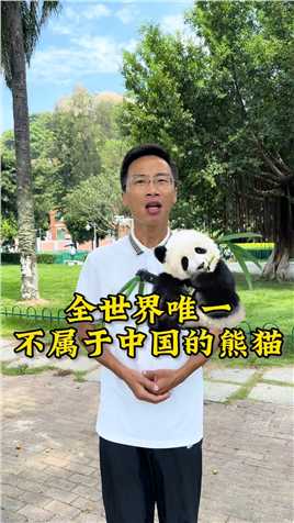 唯一不能回家的熊猫，也是世界上唯一不属于中国的熊猫