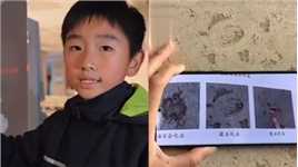 小学生在瑞金医院发现上亿年前化石！并能精准识别种类，清晰介绍