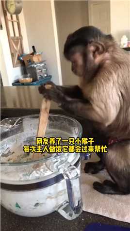 . 网友养了一只小猴子，每次做饭他都会过来帮忙