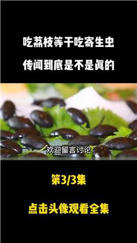 一虫难求！在武汉泛滥的水蟑螂，为何在广东却能卖400一斤。龙虱水蟑螂泛知识科普知识 (3)