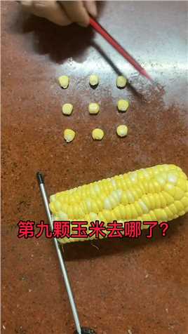 玉米遁地术 原理很简单！ 