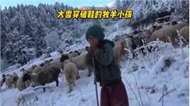  没有最可怜只有更可怜，男孩穿着破鞋在大雪中牧羊，女孩淋着大雨背柴火，尼泊尔农村真实生活