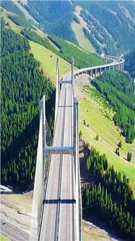 中国蕞土豪的桥，单米造价340万，耗资23.9亿，一桥改变伊犁的命运，新疆#果子沟大桥！