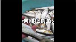 “白条”是什么鱼，为何能让钓鱼人如此嫌弃？它最大能长到多少？ (2)