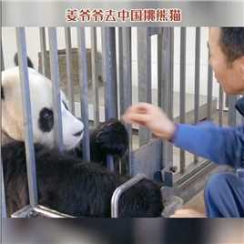 . 韩国的饲养员姜哲元把大熊猫华妮带去韩国后，真的当成了自家孩子，倾注了无微不至的爱 #穿过一千公里找到你