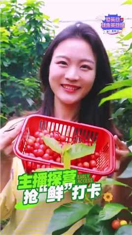 这可能是南昌最大、最甜的樱桃园了，这个五一来这里玩吧！