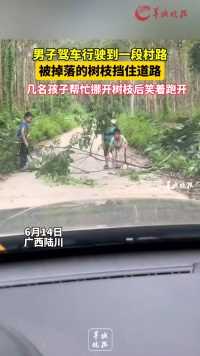 男子驾车行驶到一段村路 被掉落的树枝挡住道路 几名孩子帮忙挪开树枝后笑着跑开