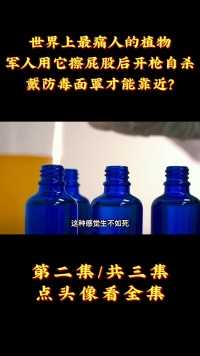 世界上最痛人的植物，军人用它擦屁股后开枪自杀，戴防毒面罩才能靠近？ (2)