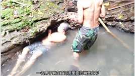 疯狂的印尼人为了吃上河鳗，涉身犯险躺在河流的峭壁，手还被咬破#钓鱼 #户外钓鱼