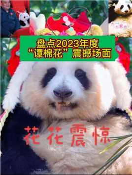 盘点2023年度，谭爷爷和大熊猫花花及弟弟和叶的这些经典又震撼的名场面，你还记得吗？

#萌宠成精了#大熊猫#大熊猫和花