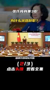 越南5号人物张氏梅，任越共中央常务书记，为什么突然辞职？#张氏梅#越南#看世界 (2)