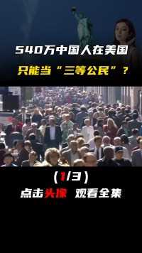 540万中国人在美国，只能当“三等公民”，为什么挤破头也要去？#涨知识#看世界#美籍华裔#华人 (1)
