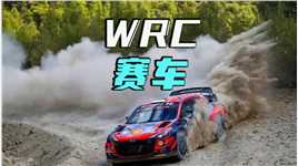 WRC的赛车有多安全？