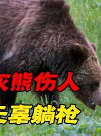 动物园灰熊暴起伤人，工作人员无辜躺枪，专家调查后发现另有玄机#动物科普#灰熊#伤人