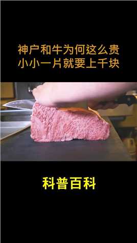 日本神户和牛肉何为这么贵，一克好几块 