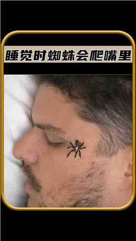 你睡觉的时候蜘蛛会爬进嘴里