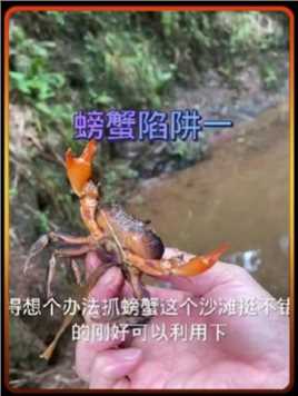 今天在小溪边发现好多螃蟹洞为了抓更多的螃蟹而制作了一个抓螃蟹的陷阱期待明天的收获