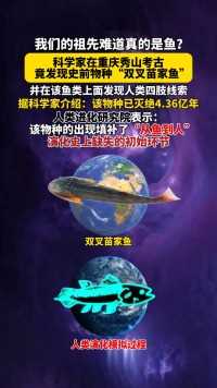  人的祖先真的是鱼吗？ 科学家在重庆秀山考古，竟发现4.36亿年前的物种“双叉苗家鱼”