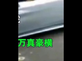 400万豪车撞上路虎，当场赔75万真豪横#社会百态#万万没想到#交通安全 (3)


