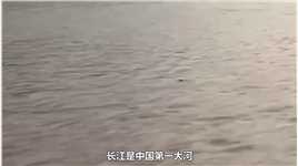 如果把三峡水电站在加高十米，能否解决长江洪涝隐患？#三峡大坝#长江 (1)
