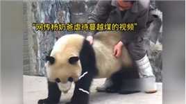 杨奶爸被网暴了，说他虐待大熊猫，真相却让人揪心
