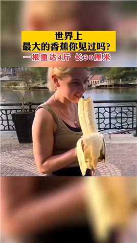 世界上最大的香蕉居然这么大