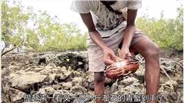 捕获5斤重的大青蟹是什么样的体？
