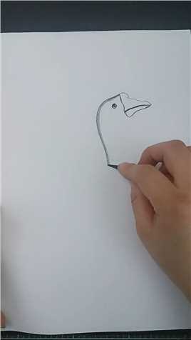 看看这是画的大鹅还是鸭子