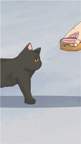 流浪猫：说好的管饭，怎么不开门呢？一定要看到最后，太好笑了哈哈哈哈#流浪猫动漫