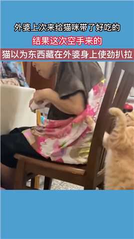 外婆上次来给猫咪带了好吃的，结果这次空手来的，猫以为东西藏在外婆身上使劲扒拉