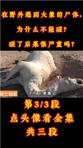 在野外遇到大象的尸体，为什么不能碰？碰了后果很严重吗？#大象#野外#象牙#鲸爆 (3)