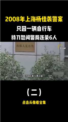 2008年上海杨佳袭警案，只因一辆自行车，持刀怒闯警局连杀6人社会案件真实事件 (2)