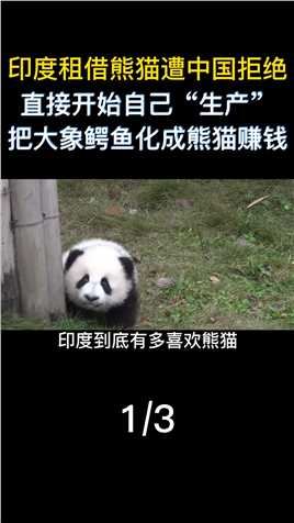 印度又“开挂”了，租我国大熊猫被拒后，自己制造另类“熊猫”熊猫国宝保护动物印度奇葩 (1)