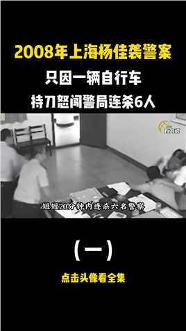 2008年上海杨佳袭警案，只因一辆自行车，持刀怒闯警局连杀6人社会案件真实事件 (1)