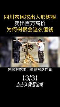 吃个海鲜牢底坐穿，为啥鲎在中国成“国保”，泰国却随便吃？#科普#农村#葛根#一夜暴富#奇闻趣事 (3)