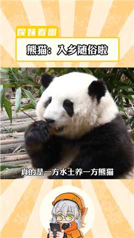 看俄罗斯养的熊猫，第一次觉得熊猫是熊...#熊猫 #可爱 #治愈