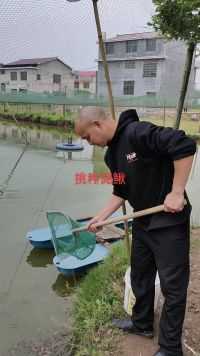 重庆大哥想要体验一把捞泥鳅，刚好还差一点种泥鳅，找找儿时的乐趣